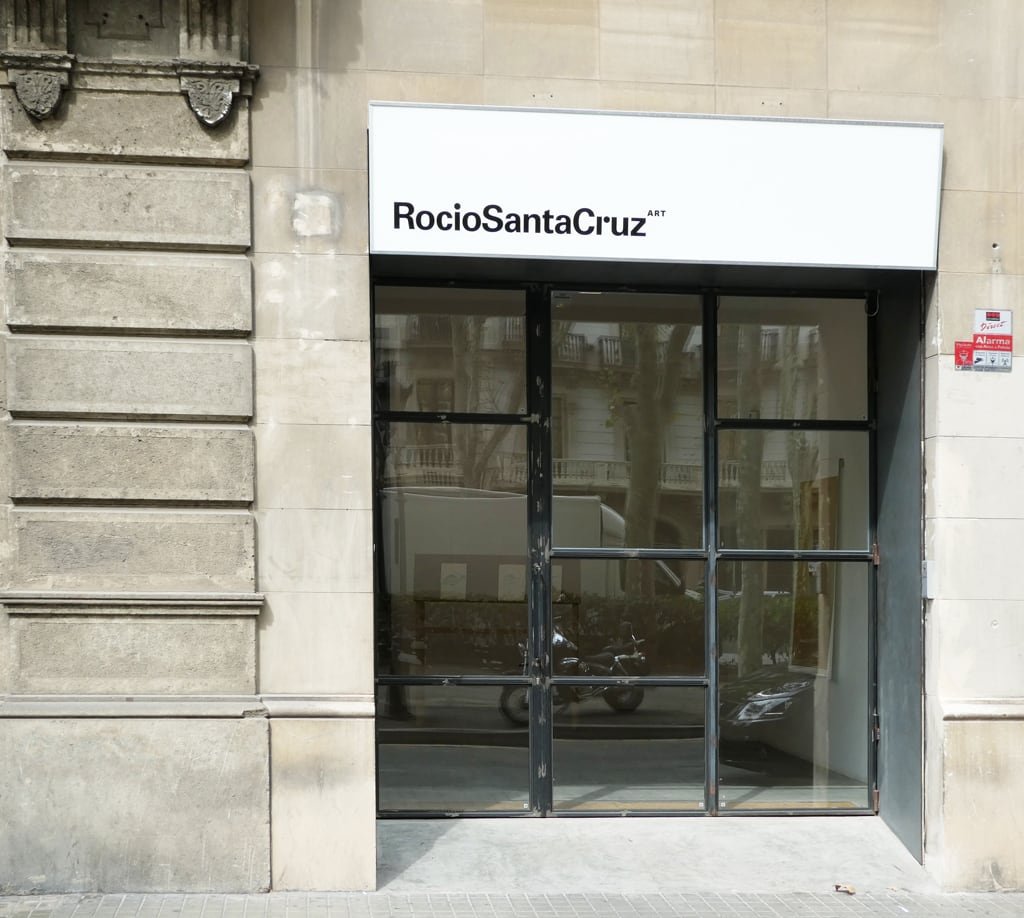 Rocio Santa Cruz