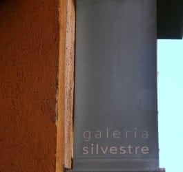 GALERIA SILVESTRE