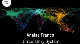 Foto La Fundació Suñol presenta el treball Circulatory System de l'artista Anaisa Franco. 