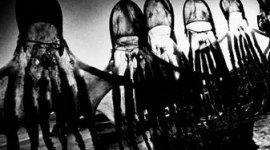 Foto Foto Colectania presenta la p`rovocadora obra del gran fotógrafo japonés Daido Moriyama